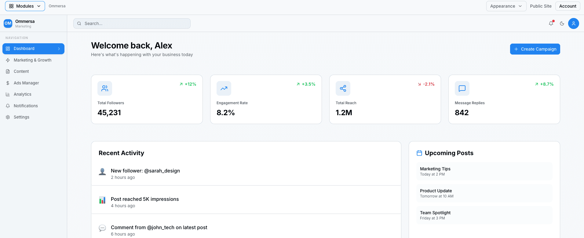Ommersa Marketing dashboard